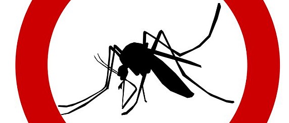 Avviso trattamento di disinfestazione