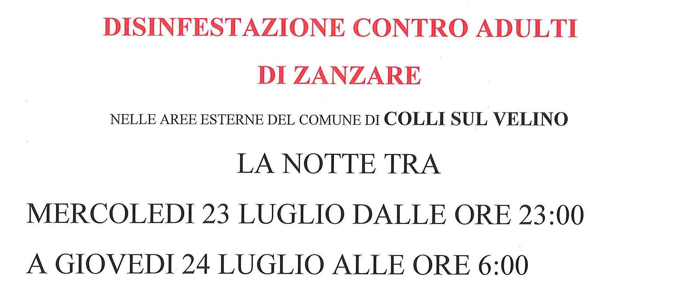 Immagine principale