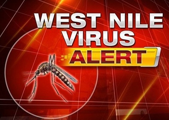 AVVISO: FEBBRE WEST NILE