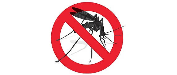 PROVVEDIMENTI PER LA PREVENZIONE ED IL CONTROLLO DELLE MALATTIE TRASMESSE DA INSETTI VETTORI ED IN PARTICOLARE DALLA ZANZARA TIGRE (AEDES ALBOPICTUS)