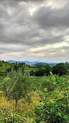 La Riva