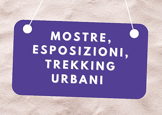 Immagine non trovata