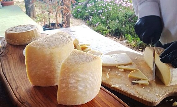 pecorino-poro-17-768x463