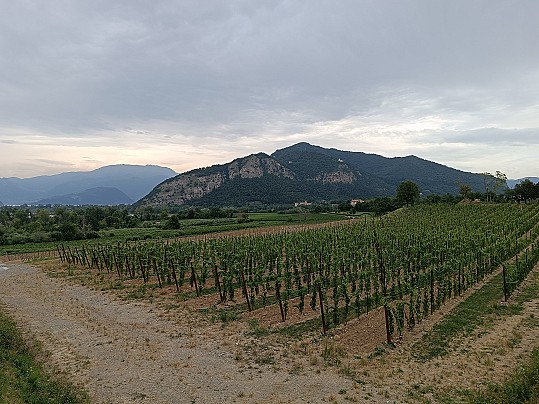 Strada Franciacorta_3