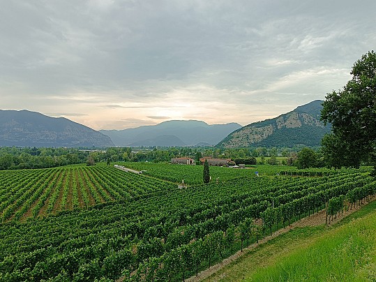 Strada Franciacorta_!