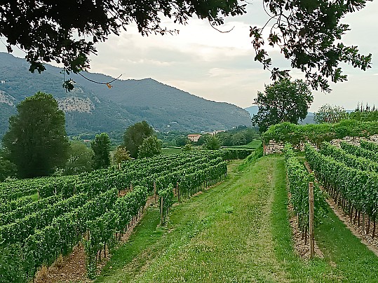 Strada Franciacorta_2