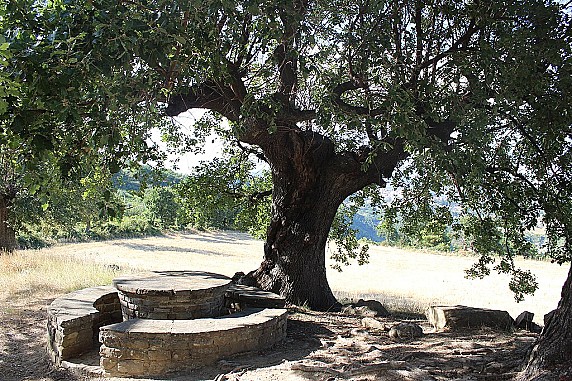 Mastimaiore_(Albidona)