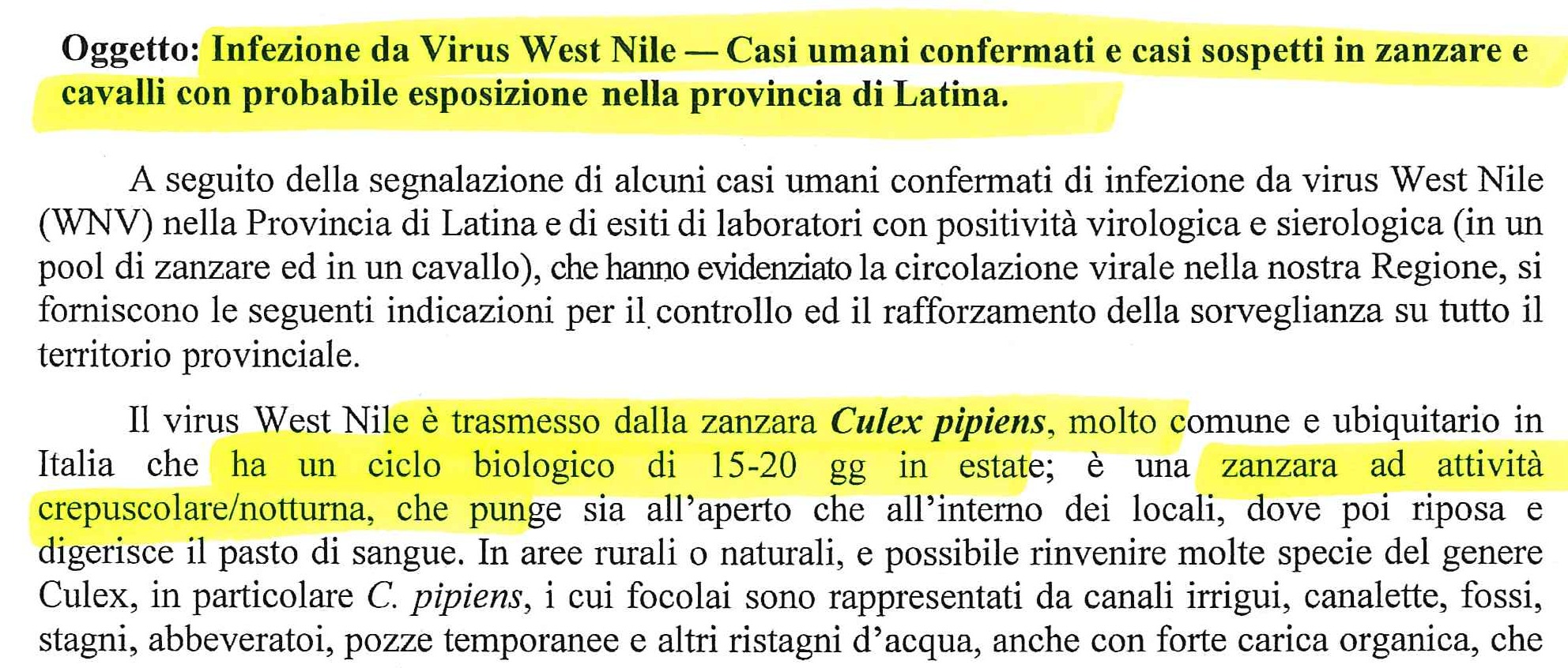Immagine principale