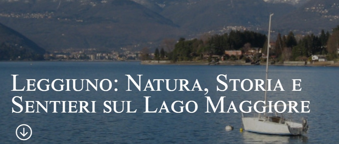 Immagine principale