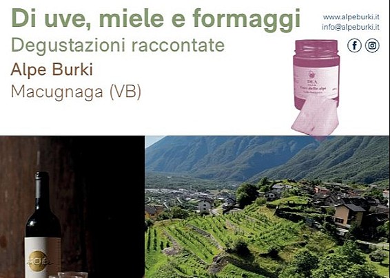 Immagine non trovata