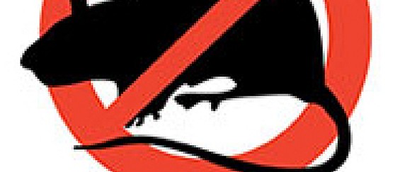 Comune di Forino: intervento di derattizzazione