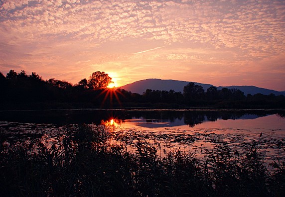 Tramonto-roseo-nelle-torbiere