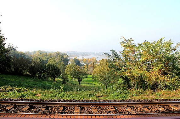 Attesa-nel-verde