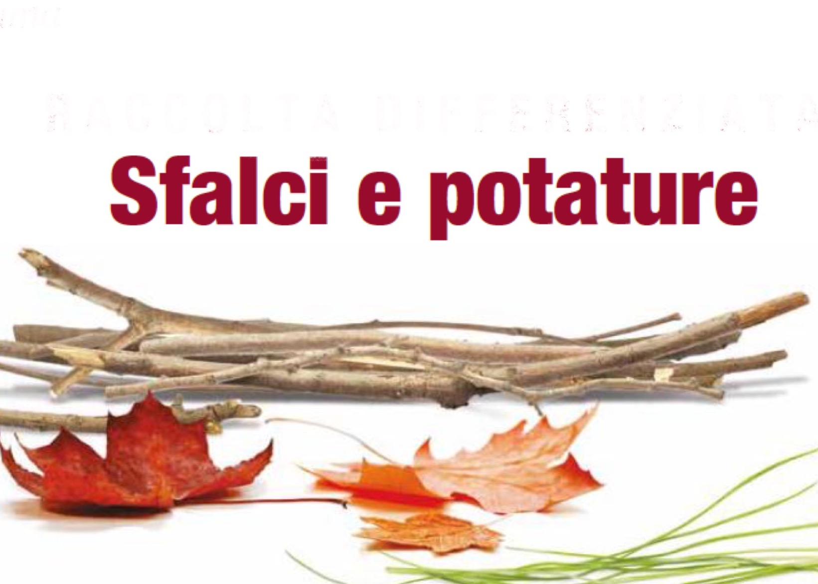 AVVISO: SFALCI DI POTATURA E FOGLIAME