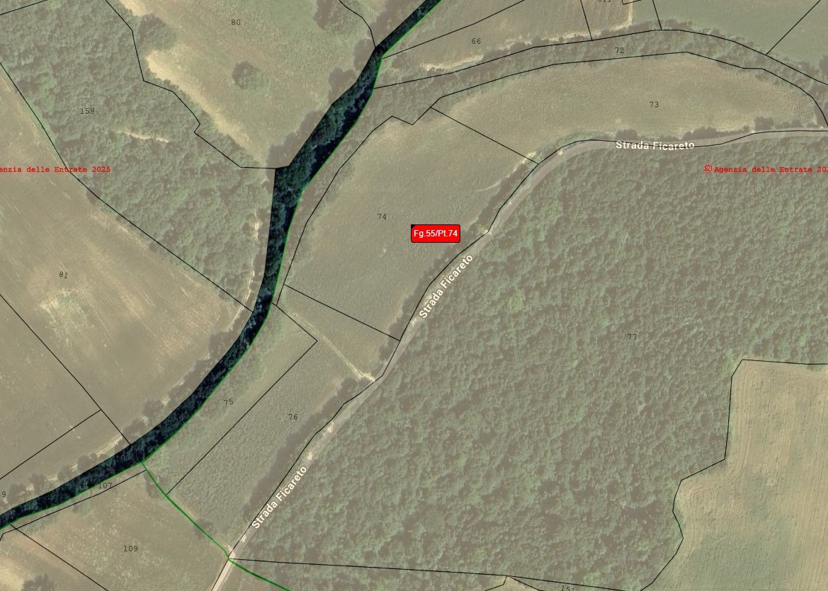 LICITAZIONE PRIVATA PER LA CONCESSIONE IN AFFITTO DI TERRENI AGRICOLI SITI IN TODI, FRAZIONE MONTICELLO.
