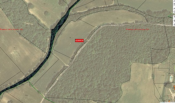 Mappale