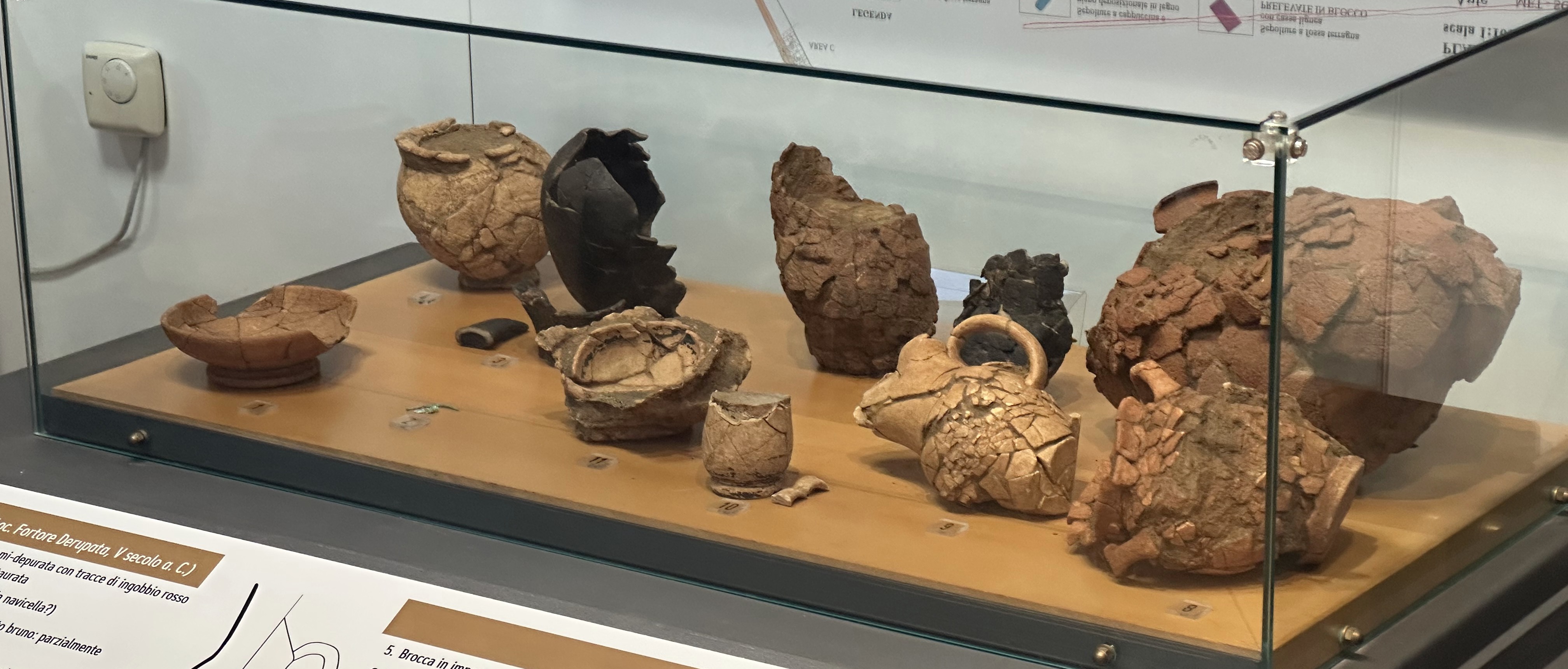 Nuove teche al Museo Preistorico “Pietro Fedele”