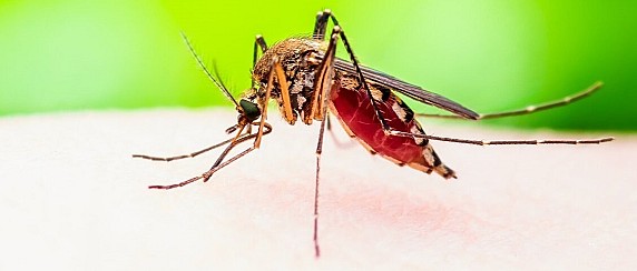 Avviso alla cttadinanza