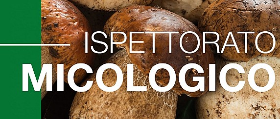 Attivazione sportello micologico ATS Insubria dal 1° agosto al 30 novembre 2025