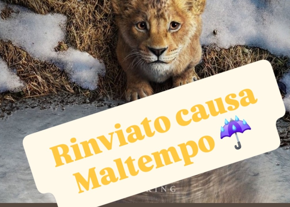 RINVITATO 🎬 𝑪𝒊𝒏𝒆𝒎𝒂 𝑺𝒐𝒕𝒕𝒐 𝑳𝒆 𝑺𝒕𝒆𝒍𝒍𝒆 ✨