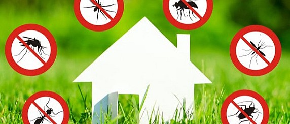 AVVISO DI DISINFESTAZIONE