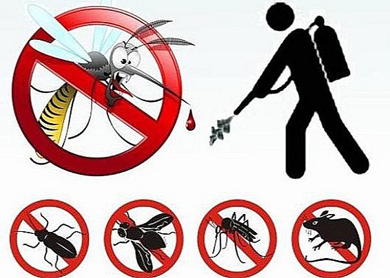AVVISO PUBBLICO: Disinfestazione e derattizzazione territorio comunale
