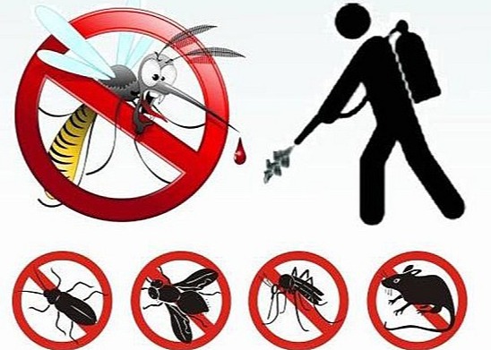 AVVISO PUBBLICO: Disinfestazione e derattizzazione territorio comunale