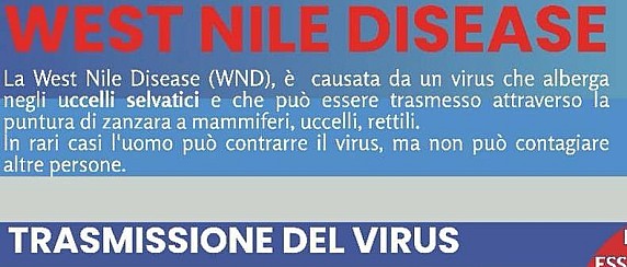 West Nile Virus