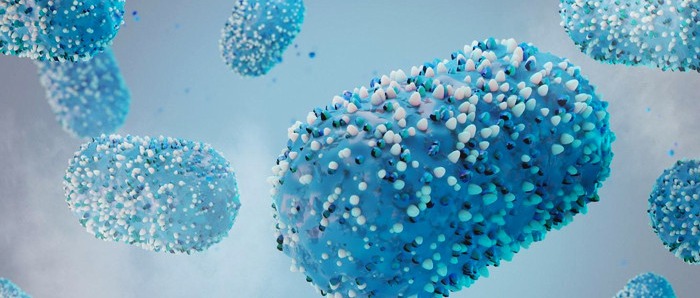 Ministero della Salute _ aggiornamento sulla malattia da virus MPOX