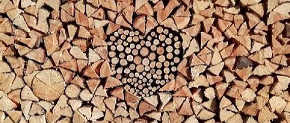 I^ Edizione  "Le Valli del Legno"