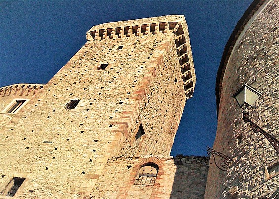 Immagine non trovata