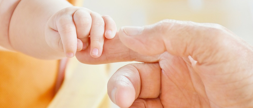 Immagine principale