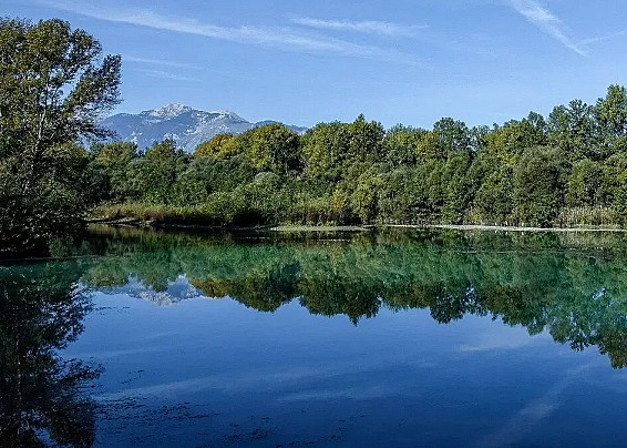 Immagine non trovata