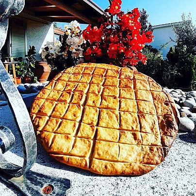 1fa4b776c606482a892921bcf16f8437