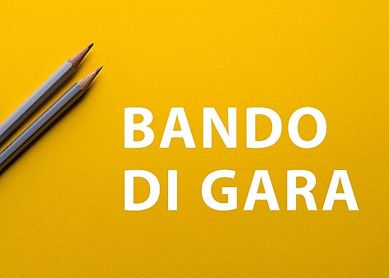 BANDO DI GARA PUBBLICA PER LA CONCESSIONE DI AREA DEMANIALE ADIACENTE A VILLA TRIESTE, IN COMUNE DI SIRMIONE, AD USO PLATEATICO E SPIAGGIA ATTREZZATA CON PERTINENZE.