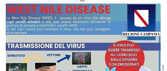 Informazioni Virus West Nile