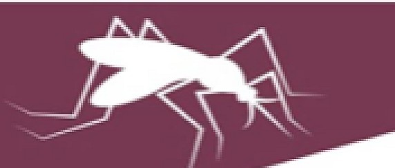 ARBOVIROSI: PREVENZIONE, SORVEGLIANZA ED INTERVENTI IN RISPOSTA ALLA CIRCOLAZIONE DELLE ARBOVIROSI – STAGIONE VETTORIALE 2025