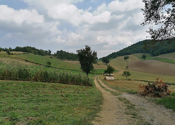 Immagine non trovata