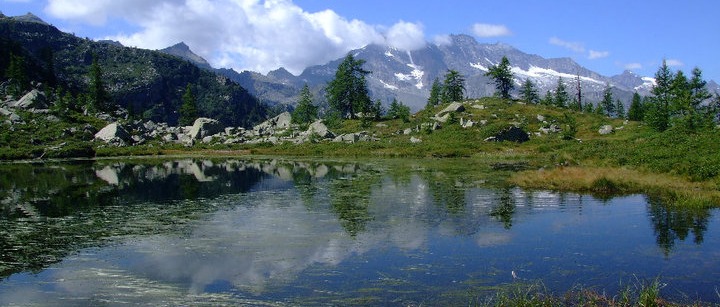 Immagine principale