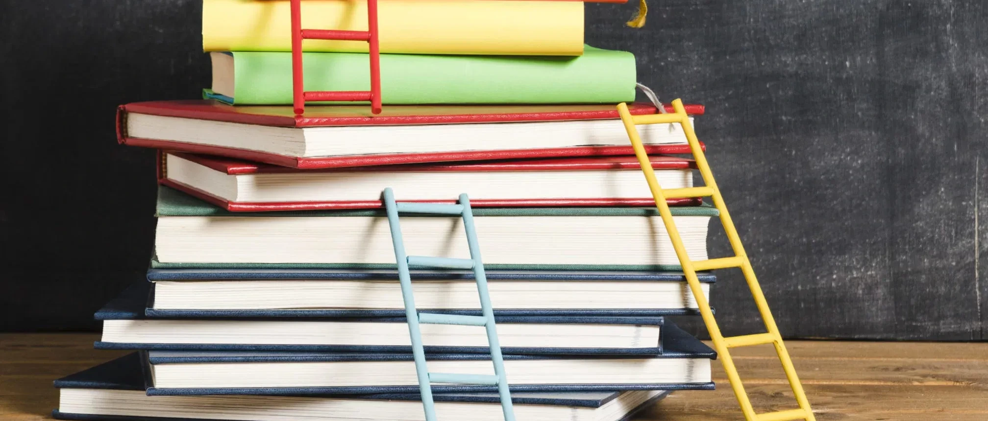 Borse di studio in favore di studenti meritevoli frequentanti scuole secondarie di ii grado Anno Scolastico 2024/2025