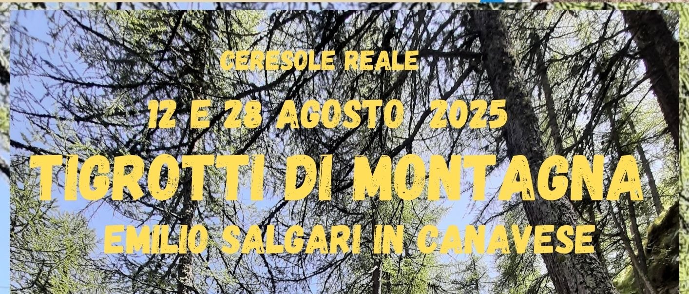 Immagine principale