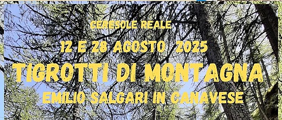 Immagine non trovata