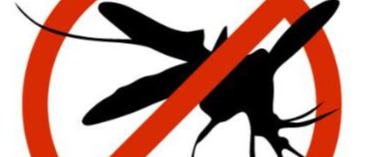 FEBBRE WEST NILE