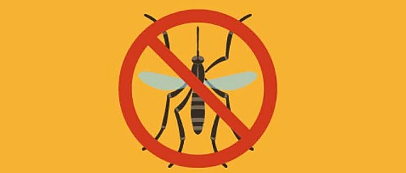 CONTRASTO ALLA DIFFUSIONE DEL VIRUS WEST NILE