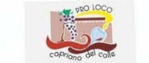Verbale rinnovo direttivo 2025
