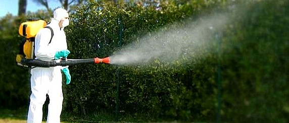 Dalle 12 di sabato comincia la disinfestazione anti Chikungunya