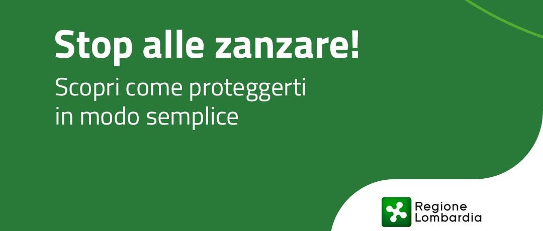 Immagine principale