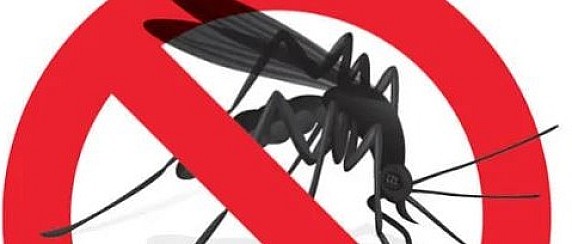 Interventi di disinfestazione zanzare 2025