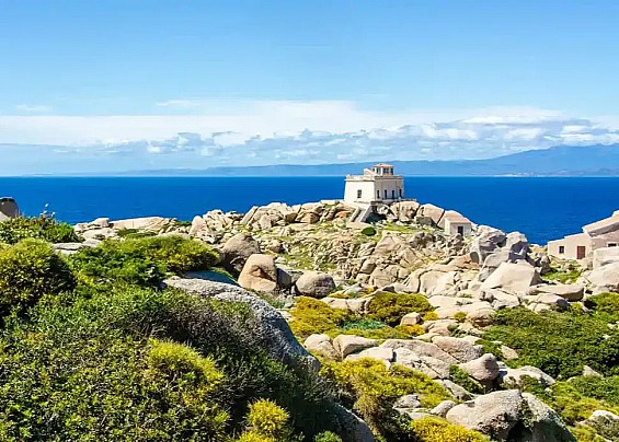 Immagine non trovata