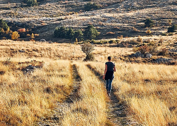 Immagine non trovata